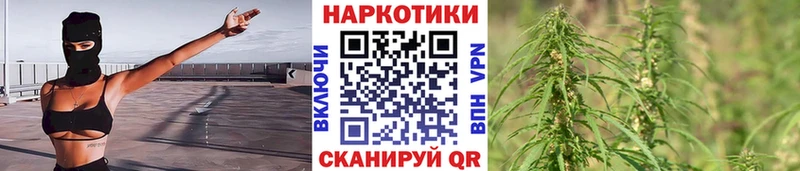 Псилоцибиновые грибы Каменск-Уральский