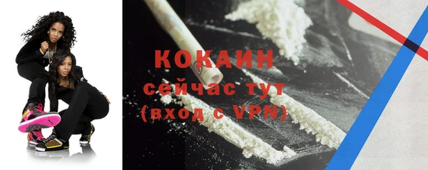 шишки Ладушкин