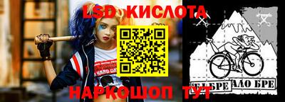 молекула духа Кулебаки