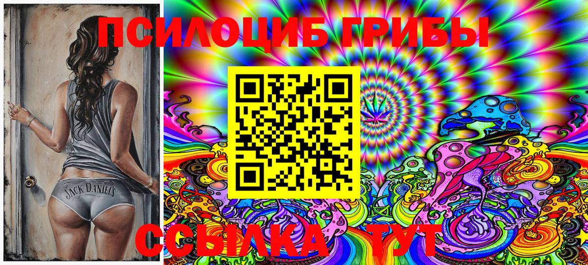 Галлюциногенные грибы Cubensis  Вход с VPN  Каменск-Уральский 